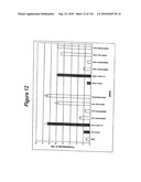 RNA Interference Mediated Inhibition of Gene Expression Using Chemically Modified Short Interfering Nucleic Acid (siNA) diagram and image