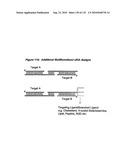 RNA Interference Mediated Inhibition of Gene Expression Using Chemically Modified Short Interfering Nucleic Acid (siNA) diagram and image