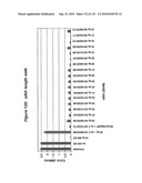 RNA Interference Mediated Inhibition of Gene Expression Using Chemically Modified Short Interfering Nucleic Acid (siNA) diagram and image