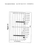 RNA Interference Mediated Inhibition of Gene Expression Using Chemically Modified Short Interfering Nucleic Acid (siNA) diagram and image