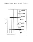 RNA Interference Mediated Inhibition of Gene Expression Using Chemically Modified Short Interfering Nucleic Acid (siNA) diagram and image