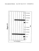 RNA Interference Mediated Inhibition of Gene Expression Using Chemically Modified Short Interfering Nucleic Acid (siNA) diagram and image