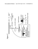 RNA Interference Mediated Inhibition of Gene Expression Using Chemically Modified Short Interfering Nucleic Acid (siNA) diagram and image