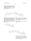 RNA Interference Mediated Inhibition of Gene Expression Using Chemically Modified Short Interfering Nucleic Acid (siNA) diagram and image