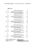 RNA Interference Mediated Inhibition of Gene Expression Using Chemically Modified Short Interfering Nucleic Acid (siNA) diagram and image