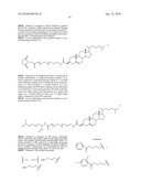 RNA Interference Mediated Inhibition of Gene Expression Using Chemically Modified Short Interfering Nucleic Acid (siNA) diagram and image