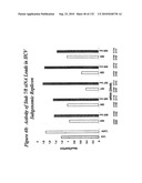 RNA Interference Mediated Inhibition of Gene Expression Using Chemically Modified Short Interfering Nucleic Acid (siNA) diagram and image