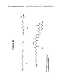 RNA Interference Mediated Inhibition of Gene Expression Using Chemically Modified Short Interfering Nucleic Acid (siNA) diagram and image