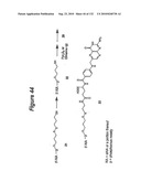 RNA Interference Mediated Inhibition of Gene Expression Using Chemically Modified Short Interfering Nucleic Acid (siNA) diagram and image