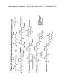 RNA Interference Mediated Inhibition of Gene Expression Using Chemically Modified Short Interfering Nucleic Acid (siNA) diagram and image