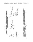 RNA Interference Mediated Inhibition of Gene Expression Using Chemically Modified Short Interfering Nucleic Acid (siNA) diagram and image