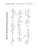 RNA Interference Mediated Inhibition of Gene Expression Using Chemically Modified Short Interfering Nucleic Acid (siNA) diagram and image