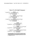 RNA Interference Mediated Inhibition of Gene Expression Using Chemically Modified Short Interfering Nucleic Acid (siNA) diagram and image