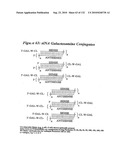 RNA Interference Mediated Inhibition of Gene Expression Using Chemically Modified Short Interfering Nucleic Acid (siNA) diagram and image