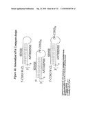 RNA Interference Mediated Inhibition of Gene Expression Using Chemically Modified Short Interfering Nucleic Acid (siNA) diagram and image