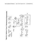 RNA Interference Mediated Inhibition of Gene Expression Using Chemically Modified Short Interfering Nucleic Acid (siNA) diagram and image