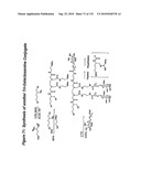 RNA Interference Mediated Inhibition of Gene Expression Using Chemically Modified Short Interfering Nucleic Acid (siNA) diagram and image