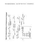 RNA Interference Mediated Inhibition of Gene Expression Using Chemically Modified Short Interfering Nucleic Acid (siNA) diagram and image