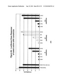 RNA Interference Mediated Inhibition of Gene Expression Using Chemically Modified Short Interfering Nucleic Acid (siNA) diagram and image