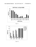 METHODS AND COMPOSITIONS FOR THE SPECIFIC INHIBITION OF GENE EXPRESSION BY DOUBLE-STRANDED RNA diagram and image