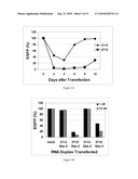 METHODS AND COMPOSITIONS FOR THE SPECIFIC INHIBITION OF GENE EXPRESSION BY DOUBLE-STRANDED RNA diagram and image