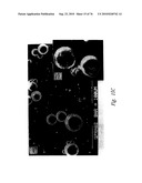 ANTI-ANGIOGENIC COMPOSITIONS AND METHODS OF USE diagram and image