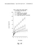 ANTI-ANGIOGENIC COMPOSITIONS AND METHODS OF USE diagram and image