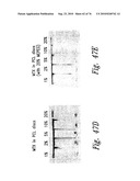 ANTI-ANGIOGENIC COMPOSITIONS AND METHODS OF USE diagram and image