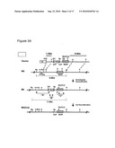 Method to Determine and Biomarker for Treatment Efficacy With Ssri, Snri, and Sari Antidepressants diagram and image