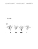 Method to Determine and Biomarker for Treatment Efficacy With Ssri, Snri, and Sari Antidepressants diagram and image