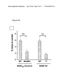 Method to Determine and Biomarker for Treatment Efficacy With Ssri, Snri, and Sari Antidepressants diagram and image