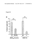 Method to Determine and Biomarker for Treatment Efficacy With Ssri, Snri, and Sari Antidepressants diagram and image