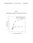 METHOD FOR PURIFYING CANCER-SPECIFIC PROLIFERATING CELL NUCLEAR ANTIGEN diagram and image