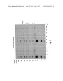 Lutein Extraction from Ozone-Treated Plant Sources diagram and image