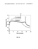 SYSTEM AND METHOD FOR TREATING TUMORS diagram and image