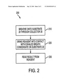 EXHALED BREATH CONDENSATE BIOMETRIC MARKER MEASUREMENT APPARATUS AND METHOD diagram and image