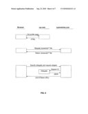 APPARATUS, SYSTEMS AND METHODS FOR AUTHENTICATING WIDGET ACCESS AND WIDGETS diagram and image