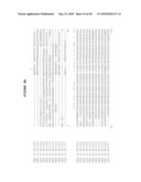 POLYNUCLEOTIDES ENCODING PROTEINS INVOLVED IN PLANT METABOLISM diagram and image