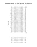 POLYNUCLEOTIDES ENCODING PROTEINS INVOLVED IN PLANT METABOLISM diagram and image