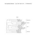 ODP1-2 Genes and Uses Thereof in Plants diagram and image