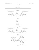 COMPOSITION FOR COLOURING KERATINOUS MATERIAL USING A SUPRA-MOLECULAR COLOURING SYSTEM diagram and image