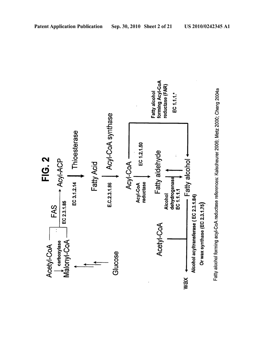 PRODUCTION OF FATTY ACIDS & DERIVATIVES THEREOF - diagram, schematic, and image 03