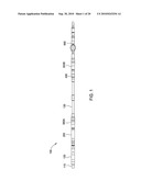 METHOD AND APPARATUS FOR ISOLATING AND TREATING DISCRETE ZONES WITHIN A WELLBORE diagram and image