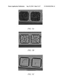 HIGH RATE SELECTIVE POLYMER GROWTH ON A SUBSTRATE diagram and image