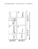 NON-EQUILIBRIUM CAPILLARY ELECTROPHORESIS OF EQUILIBRIUM MIXTURES (NECEEM)-BASED METHODS FOR DRUG AND DIAGNOSTIC DEVELOPMENT diagram and image