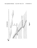 PCR METHODS FOR CHARACTERIZING THE 5  UNTRANSLATED REGION OF THE FMR1 AND FMR2 GENES diagram and image