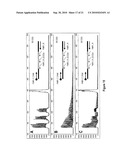 PCR METHODS FOR CHARACTERIZING THE 5  UNTRANSLATED REGION OF THE FMR1 AND FMR2 GENES diagram and image