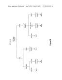 PCR METHODS FOR CHARACTERIZING THE 5  UNTRANSLATED REGION OF THE FMR1 AND FMR2 GENES diagram and image