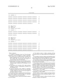 PCR METHODS FOR CHARACTERIZING THE 5  UNTRANSLATED REGION OF THE FMR1 AND FMR2 GENES diagram and image