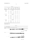 ANODIC OXIDE COATING AND ANODIZING OXIDATION METHOD diagram and image